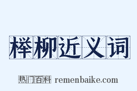 榉柳近义词是什么意思的图片